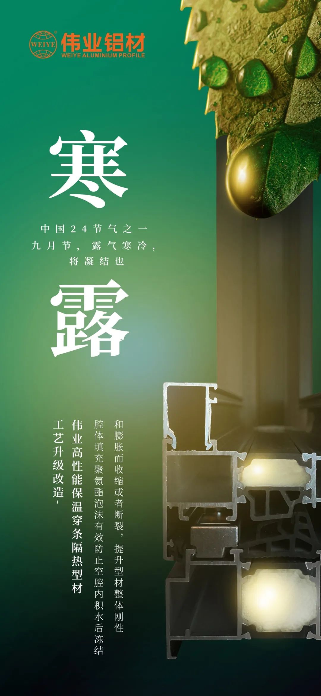 #寒露 九月节，，，，，，，，露气严寒，，，，，，，，将凝聚也 时光入深秋，，，，，，，，岁月便深情