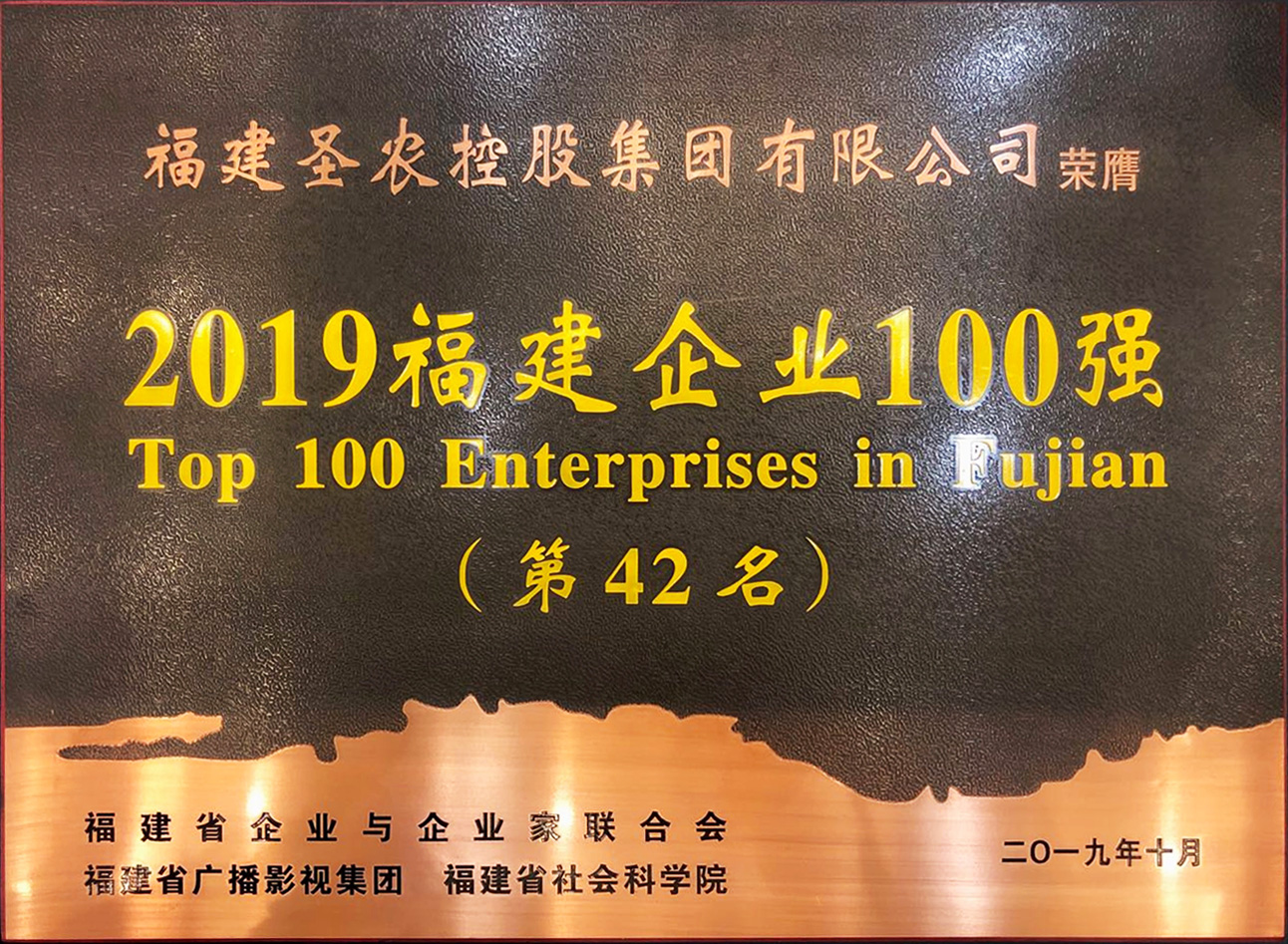2019（尊龙官方网站首页集团）福建企业100强