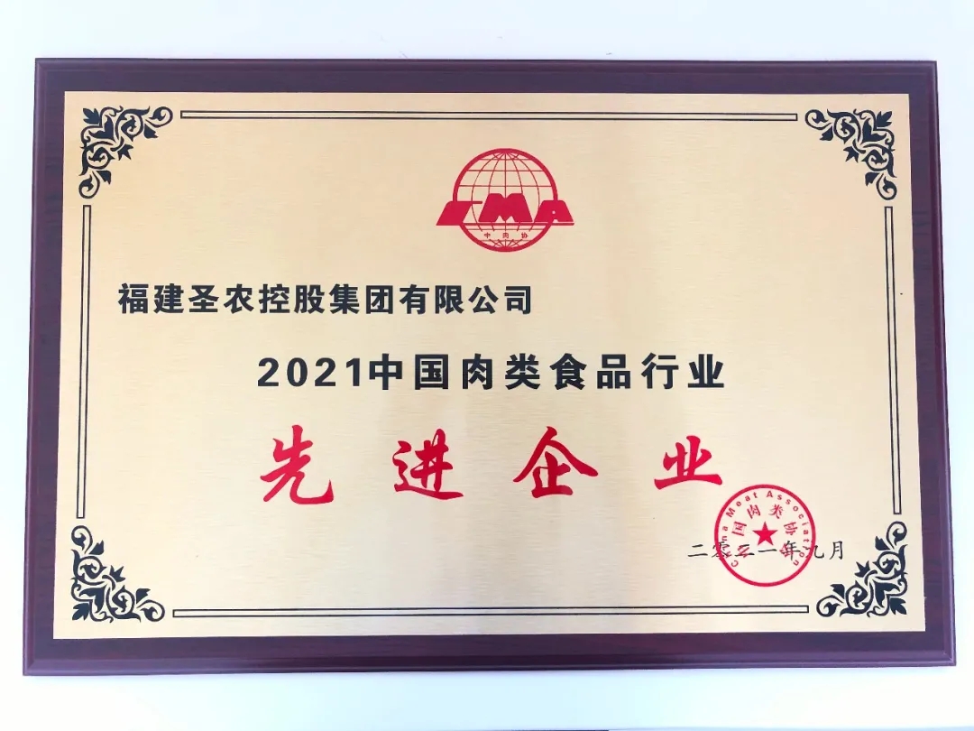 2021（尊龙官方网站首页集团）中国肉类食品行业先进企业